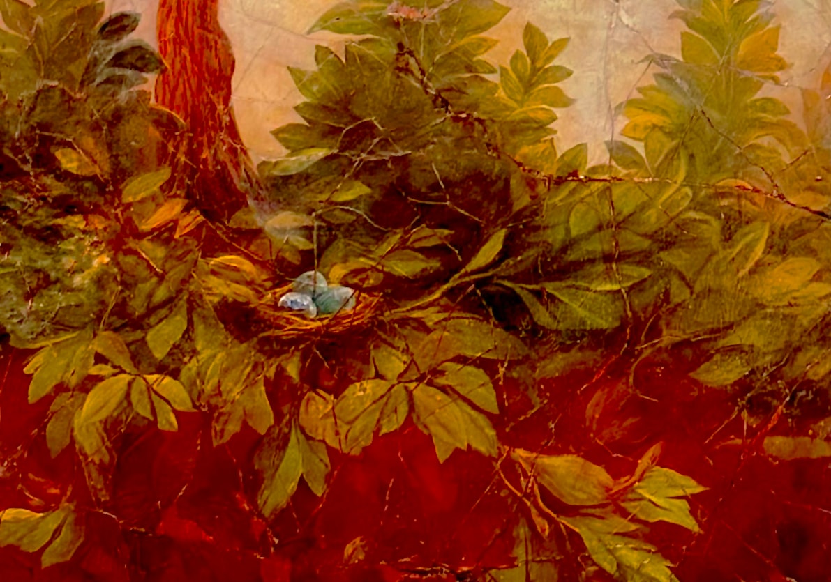 Beagle Island fresco — nest detail